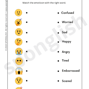 feelings and emotions match