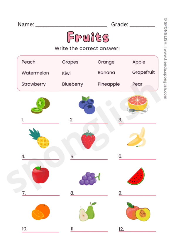 fruits worksheet