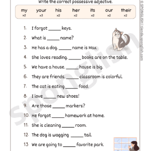 possessive adjectives exercises