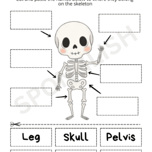 halloween worksheet name the bones