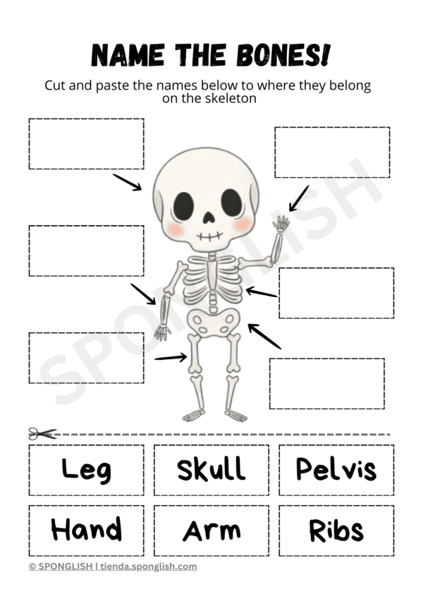 halloween worksheet name the bones