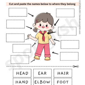 parts of the body worksheet cut and paste
